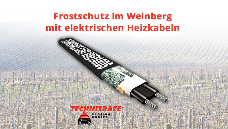 Frostschutz im Weinberg mit elektrischen Heizkabeln Germany – TECHNITRACE